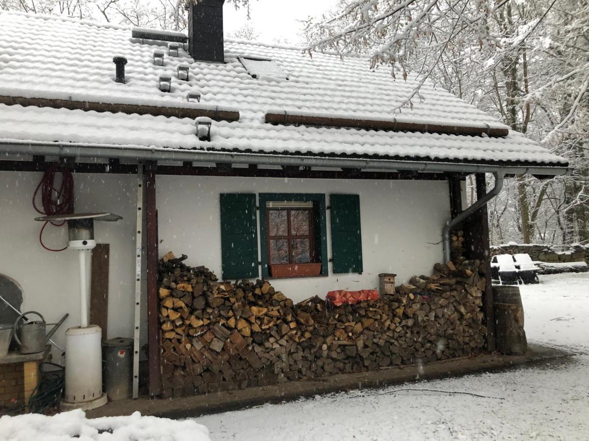 Haus Am Wald Apartment
