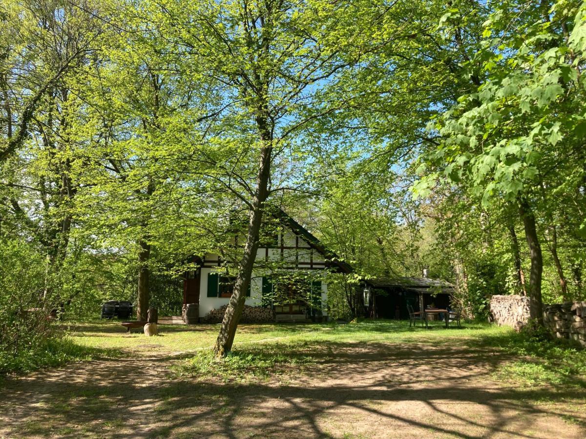 Apartment Haus Am Wald